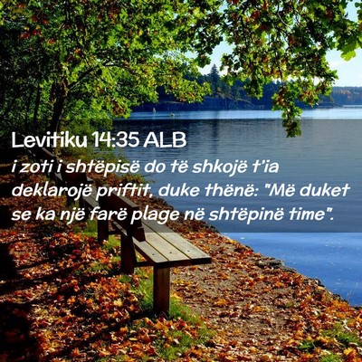 Picture 02 - Levitiku 14:35 ALB - i zoti i shtëpisë do të shkojë t’ia - Bible Verse Picture