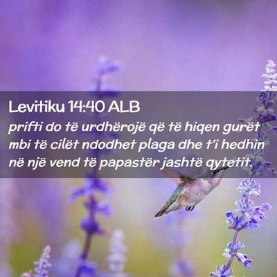 Picture 02 - Levitiku 14:40 ALB - prifti do të urdhërojë që të hiqen gurët - Bible Verse Picture