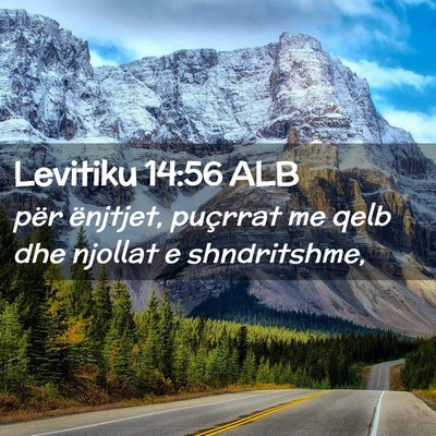 Picture 02 - Levitiku 14:56 ALB - për ënjtjet, puçrrat me qelb dhe njollat e - Bible Verse Picture