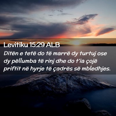 Picture 02 - Levitiku 15:29 ALB - Ditën e tetë do të marrë dy turtuj ose dy - Bible Verse Picture