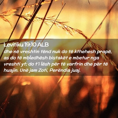 Picture 02 - Levitiku 19:10 ALB - dhe në vreshtin tënd nuk do të kthehesh - Bible Verse Picture