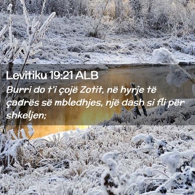 Picture 02 - Levitiku 19:21 ALB - Burri do t’i çojë Zotit, në hyrje të - Bible Verse Picture
