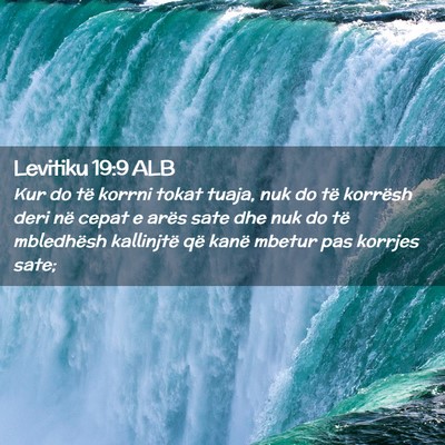 Picture 02 - Levitiku 19:9 ALB - Kur do të korrni tokat tuaja, nuk do të - Bible Verse Picture