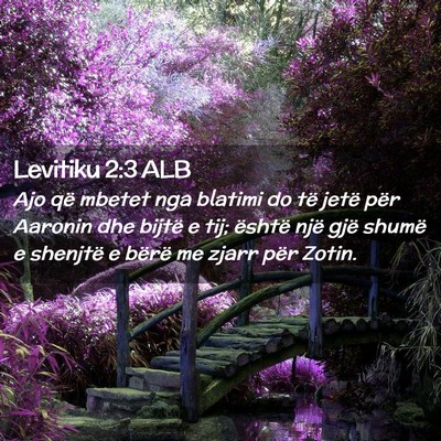 Picture 02 - Levitiku 2:3 ALB - Ajo që mbetet nga blatimi do të jetë për - Bible Verse Picture