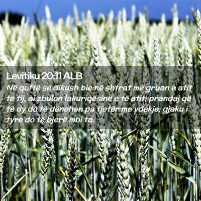 Picture 02 - Levitiku 20:11 ALB - Në qoftë se dikush bie në shtrat me gruan e - Bible Verse Picture