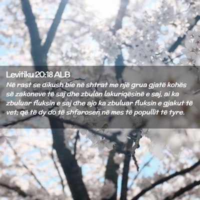 Picture 02 - Levitiku 20:18 ALB - Në rast se dikush bie në shtrat me një grua - Bible Verse Picture