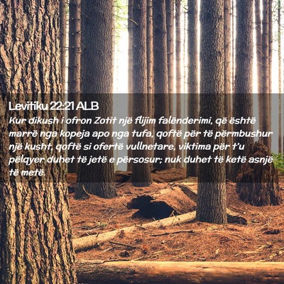 Picture 02 - Levitiku 22:21 ALB - Kur dikush i ofron Zotit një flijim - Bible Verse Picture