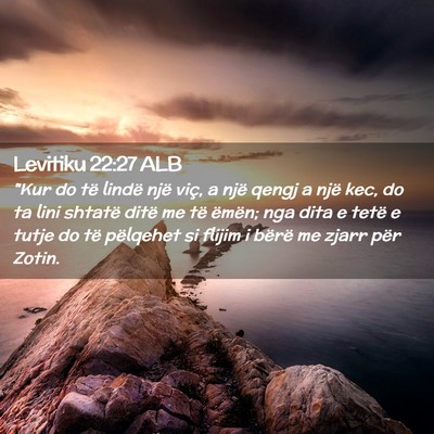 Picture 02 - Levitiku 22:27 ALB - 