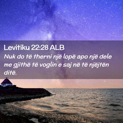 Picture 02 - Levitiku 22:28 ALB - Nuk do të therni një lopë apo një dele me - Bible Verse Picture