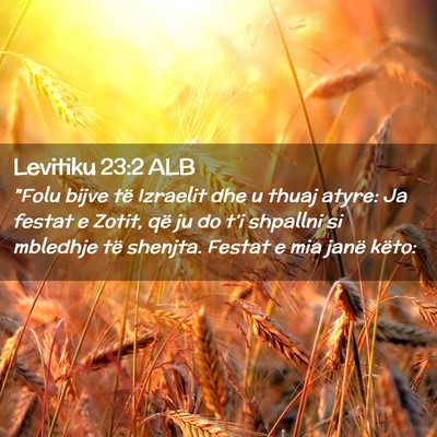 Picture 02 - Levitiku 23:2 ALB - 