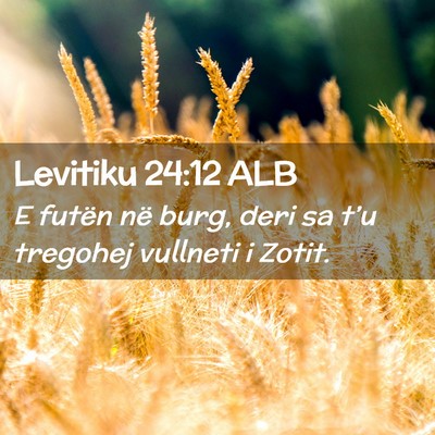 Picture 02 - Levitiku 24:12 ALB - E futën në burg, deri sa t’u tregohej - Bible Verse Picture