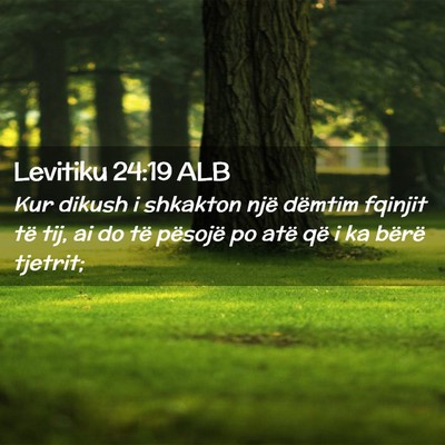 Picture 02 - Levitiku 24:19 ALB - Kur dikush i shkakton një dëmtim fqinjit të - Bible Verse Picture