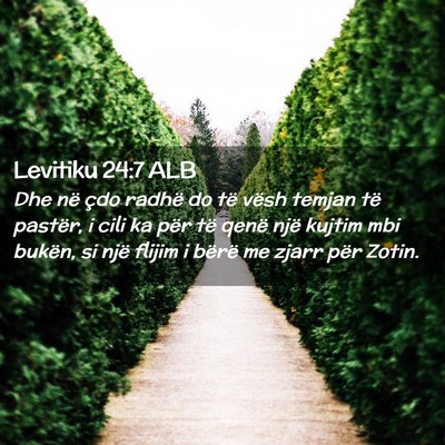 Picture 02 - Levitiku 24:7 ALB - Dhe në çdo radhë do të vësh temjan të - Bible Verse Picture
