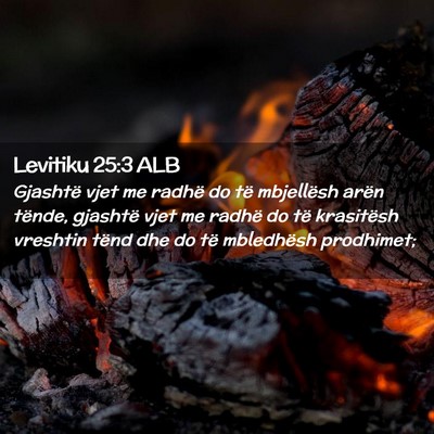 Picture 02 - Levitiku 25:3 ALB - Gjashtë vjet me radhë do të mbjellësh arën - Bible Verse Picture