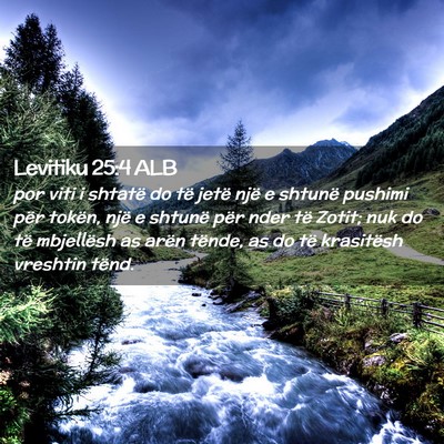 Picture 02 - Levitiku 25:4 ALB - por viti i shtatë do të jetë një e shtunë - Bible Verse Picture