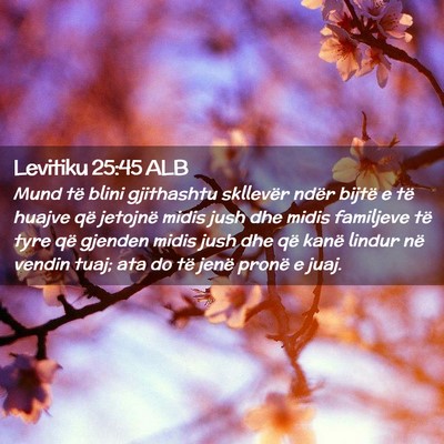Picture 02 - Levitiku 25:45 ALB - Mund të blini gjithashtu skllevër ndër bijtë - Bible Verse Picture
