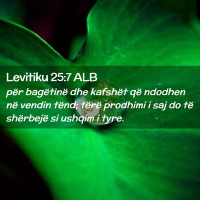 Picture 02 - Levitiku 25:7 ALB - për bagëtinë dhe kafshët që ndodhen në - Bible Verse Picture