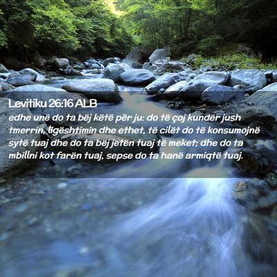Picture 02 - Levitiku 26:16 ALB - edhe unë do ta bëj këtë për ju: do të çoj - Bible Verse Picture