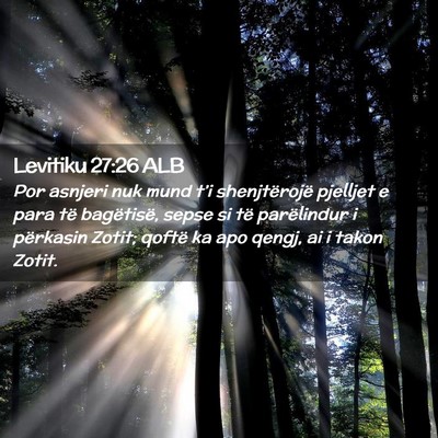 Picture 02 - Levitiku 27:26 ALB - Por asnjeri nuk mund t’i shenjtërojë pjelljet - Bible Verse Picture