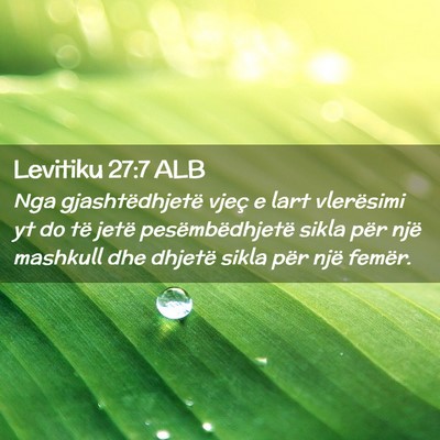 Picture 02 - Levitiku 27:7 ALB - Nga gjashtëdhjetë vjeç e lart vlerësimi yt do - Bible Verse Picture