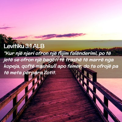 Picture 02 - Levitiku 3:1 ALB - 