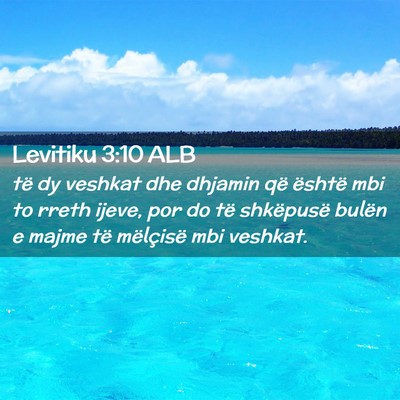 Picture 02 - Levitiku 3:10 ALB - të dy veshkat dhe dhjamin që është mbi to - Bible Verse Picture