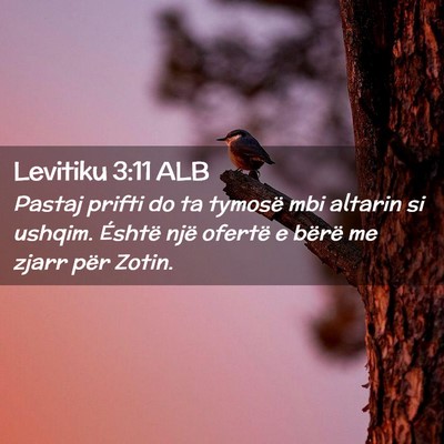Picture 02 - Levitiku 3:11 ALB - Pastaj prifti do ta tymosë mbi altarin si - Bible Verse Picture