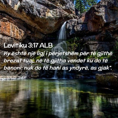 Picture 02 - Levitiku 3:17 ALB - Ky është një ligj i përjetshëm për të - Bible Verse Picture