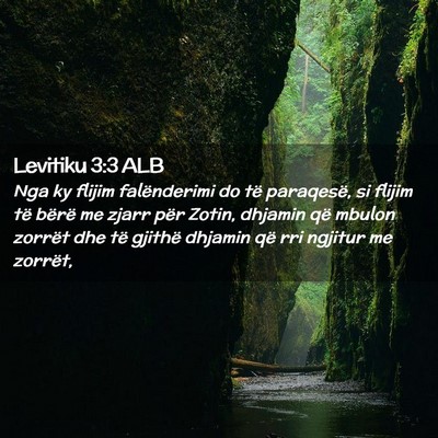 Picture 02 - Levitiku 3:3 ALB - Nga ky flijim falënderimi do të paraqesë, si - Bible Verse Picture