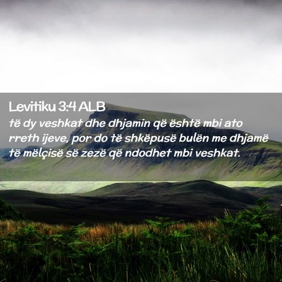 Picture 02 - Levitiku 3:4 ALB - të dy veshkat dhe dhjamin që është mbi ato - Bible Verse Picture