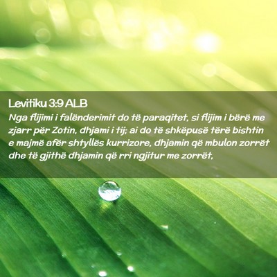Picture 02 - Levitiku 3:9 ALB - Nga flijimi i falënderimit do të paraqitet, si - Bible Verse Picture