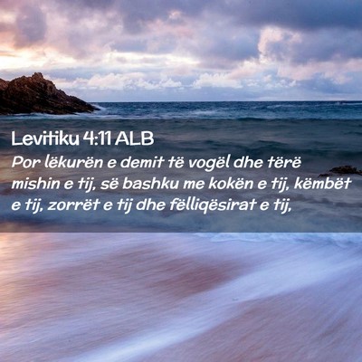 Picture 02 - Levitiku 4:11 ALB - Por lëkurën e demit të vogël dhe tërë - Bible Verse Picture