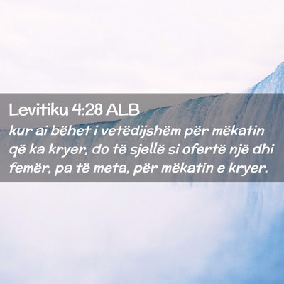 Picture 02 - Levitiku 4:28 ALB - kur ai bëhet i vetëdijshëm për mëkatin që - Bible Verse Picture