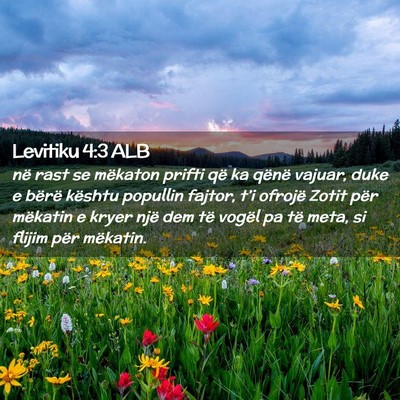 Picture 02 - Levitiku 4:3 ALB - në rast se mëkaton prifti që ka qënë vajuar, - Bible Verse Picture