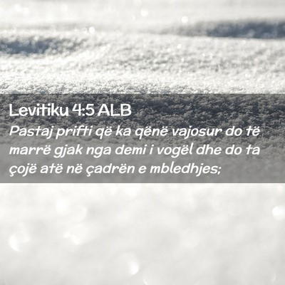 Picture 02 - Levitiku 4:5 ALB - Pastaj prifti që ka qënë vajosur do të marrë - Bible Verse Picture