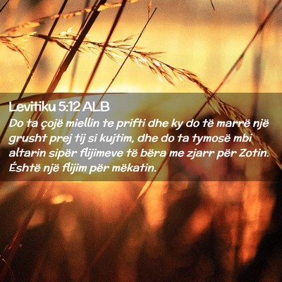 Picture 02 - Levitiku 5:12 ALB - Do ta çojë miellin te prifti dhe ky do të - Bible Verse Picture