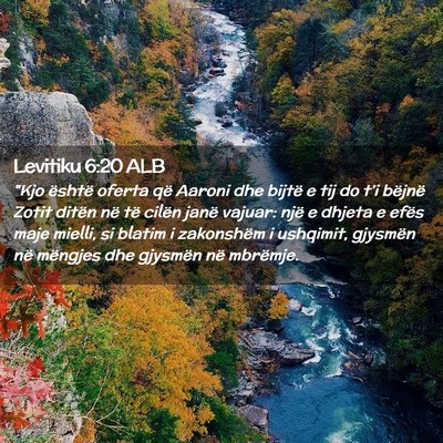Picture 02 - Levitiku 6:20 ALB - 
