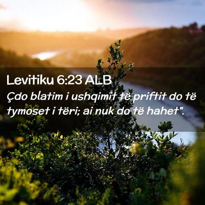 Picture 02 - Levitiku 6:23 ALB - Çdo blatim i ushqimit të priftit do të tymoset - Bible Verse Picture