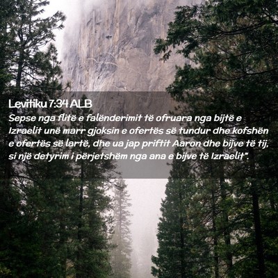 Picture 02 - Levitiku 7:34 ALB - Sepse nga flitë e falënderimit të ofruara nga - Bible Verse Picture