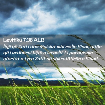 Picture 02 - Levitiku 7:38 ALB - ligji që Zoti i dha Moisiut mbi malin Sinai, - Bible Verse Picture