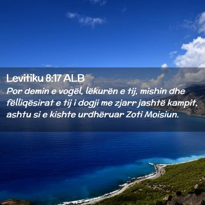 Picture 02 - Levitiku 8:17 ALB - Por demin e vogël, lëkurën e tij, mishin dhe - Bible Verse Picture
