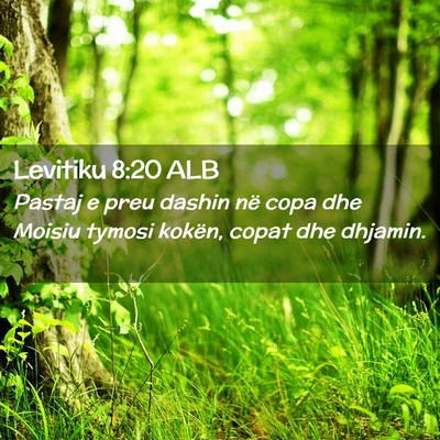 Picture 02 - Levitiku 8:20 ALB - Pastaj e preu dashin në copa dhe Moisiu tymosi - Bible Verse Picture