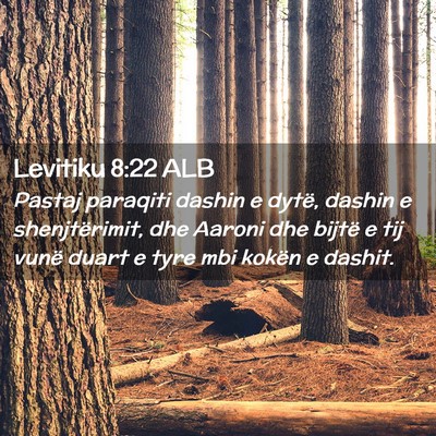 Picture 02 - Levitiku 8:22 ALB - Pastaj paraqiti dashin e dytë, dashin e - Bible Verse Picture