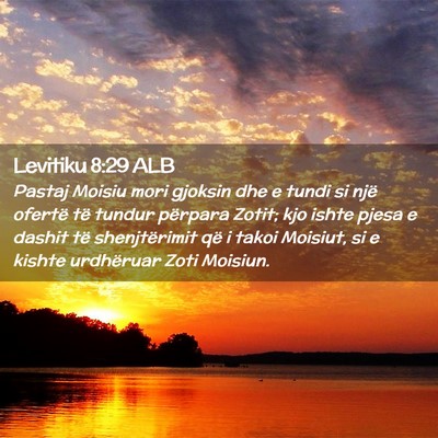 Picture 02 - Levitiku 8:29 ALB - Pastaj Moisiu mori gjoksin dhe e tundi si një - Bible Verse Picture