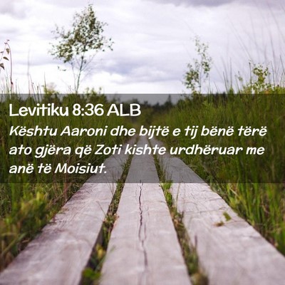 Picture 02 - Levitiku 8:36 ALB - Kështu Aaroni dhe bijtë e tij bënë tërë ato - Bible Verse Picture