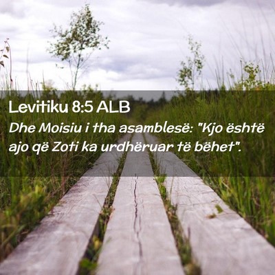 Picture 02 - Levitiku 8:5 ALB - Dhe Moisiu i tha asamblesë: 
