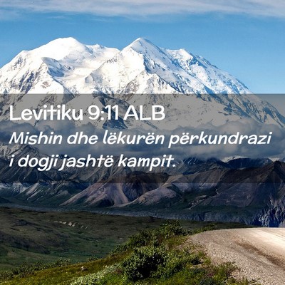 Picture 02 - Levitiku 9:11 ALB - Mishin dhe lëkurën përkundrazi i dogji jashtë - Bible Verse Picture