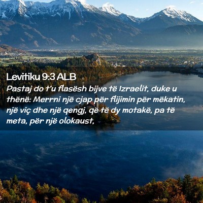 Picture 02 - Levitiku 9:3 ALB - Pastaj do t’u flasësh bijve të Izraelit, duke - Bible Verse Picture