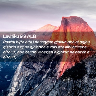 Picture 02 - Levitiku 9:9 ALB - Pastaj bijtë e tij i paraqitën gjakun dhe ai - Bible Verse Picture
