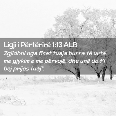 Picture 02 - Ligji i Përtërirë 1:13 ALB - Zgjidhni nga fiset tuaja burra të urtë, me - Bible Verse Picture